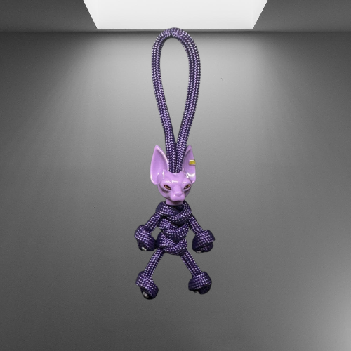 Beerus